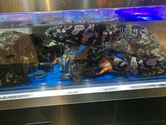 -盒马鲜生(枣园路店)