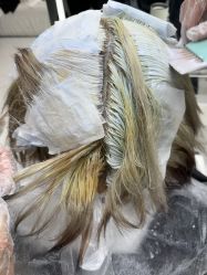 -三原色染发巴黎画染潮色漂色
