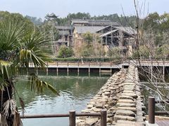 -黄陂区野村谷景区