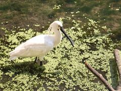 -沈阳鸟岛