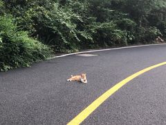 -宝界山林公园