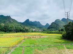 -漓江冠岩景区