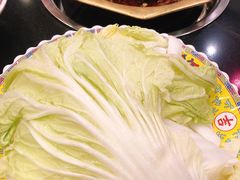 -芦月轩羊蝎子(北蜂窝店)