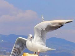 -滇池海埂公园
