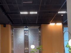 -帕帕拉兹宠物(亚洲旗舰店)