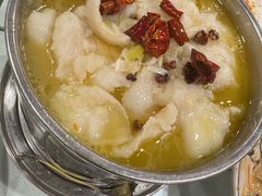 -听涛雅苑百味饺子老家菜馆