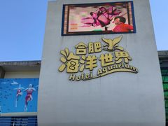 -合肥海洋世界