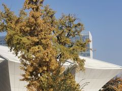 -东方体育中心(地铁站)