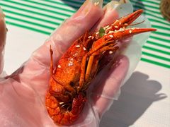 -巴厘龙虾·榜首油焖大虾(音乐学院·沿江酒馆店)