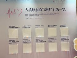 -金鹰国际月子中心(新街口店)