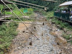 -西双版纳原始森林公园
