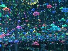 -福州奇幻解压馆(东泰禾旗舰店)