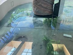 -延庆地质公园博物馆