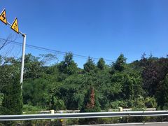 -大长山岛