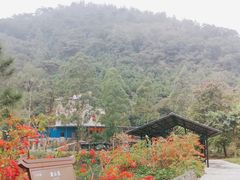 -紫云谷景区