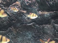 -苏州海洋馆