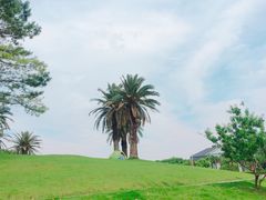 -美兰湖景区