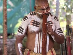 -热带雨林自然公园