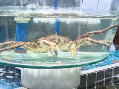 -巧克力渔家.小船海鲜胶东菜(万平口店)