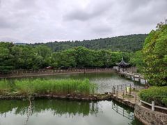 -旺山景区