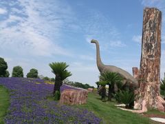 -南通洲际绿博园