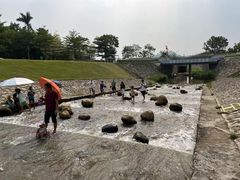 -光明小镇欢乐田园