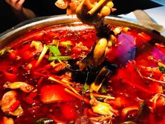 -宽口美蛙鱼头(大唐西市店)