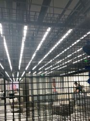 -斑斓色彩沙龙