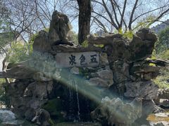 -上海醉白池公园