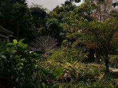 -深圳国际园林花卉博览园