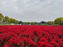 -广东花都香草世界旅游度假区