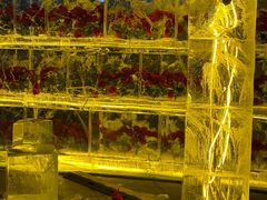 -万达广场(龙湖店)