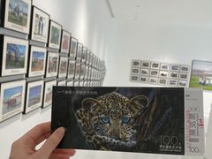 -罗红摄影艺术馆