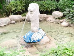 -南宫五洲植物乐园