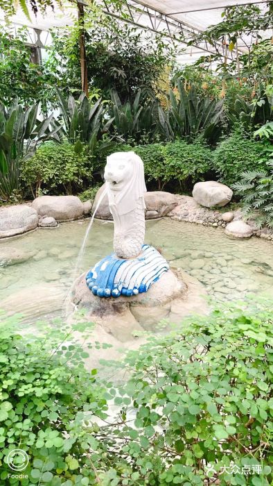 南宫五洲植物乐园图片