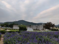 -玫瑰海岸文化旅游度假区