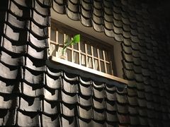 -瓦库茶馆17号(海汇港店)