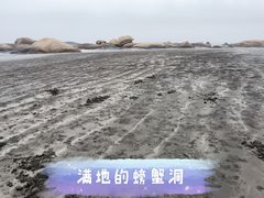 -浪琴湾度假村