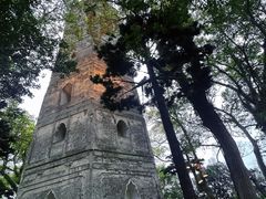 -江心屿景区