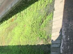 -韶山毛泽东同志故居