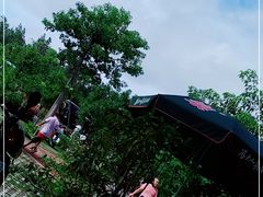 -广东惠东海龟国家级自然保护区