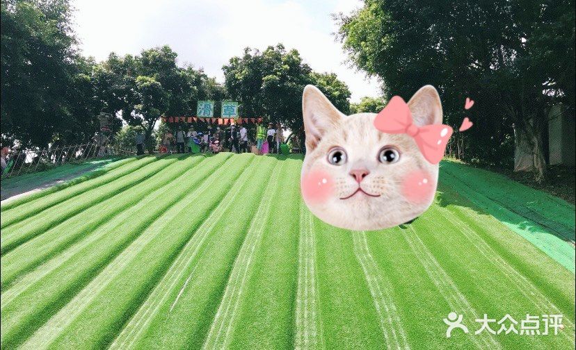 夏日亲子出游｜一定要打卡的一家儿童农场乐园！！