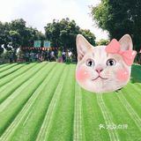 夏日亲子出游｜一定要打卡的一家儿童农场乐园！！