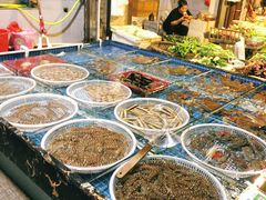 -开禾52阿伟海鲜加工