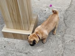 -吉姆餐厅