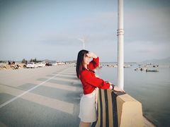 -汕尾风车岛