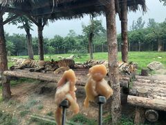 -西安秦岭野生动物园