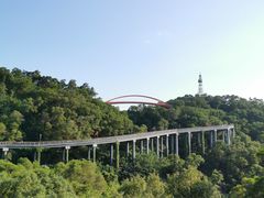 -金鸡山公园