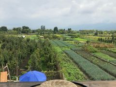 -翠田Green Field Kitchen