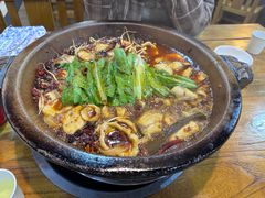 -都江堰石锅鱼